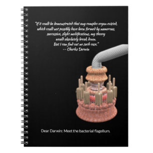 Darwin's Concession and the Bacterial Flagellum Notebook