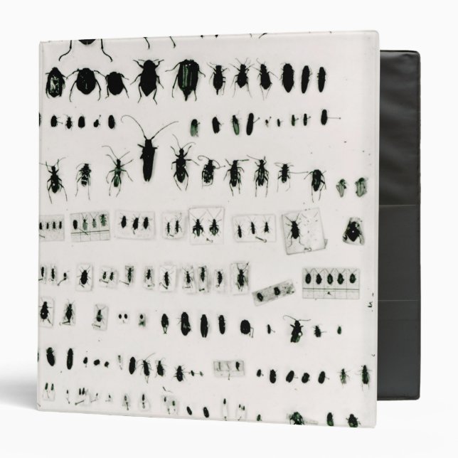 Darwin's insect collection binder (Front/Inside)