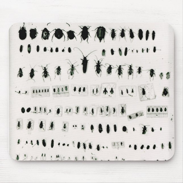 Darwin's insect collection mouse pad (Front)
