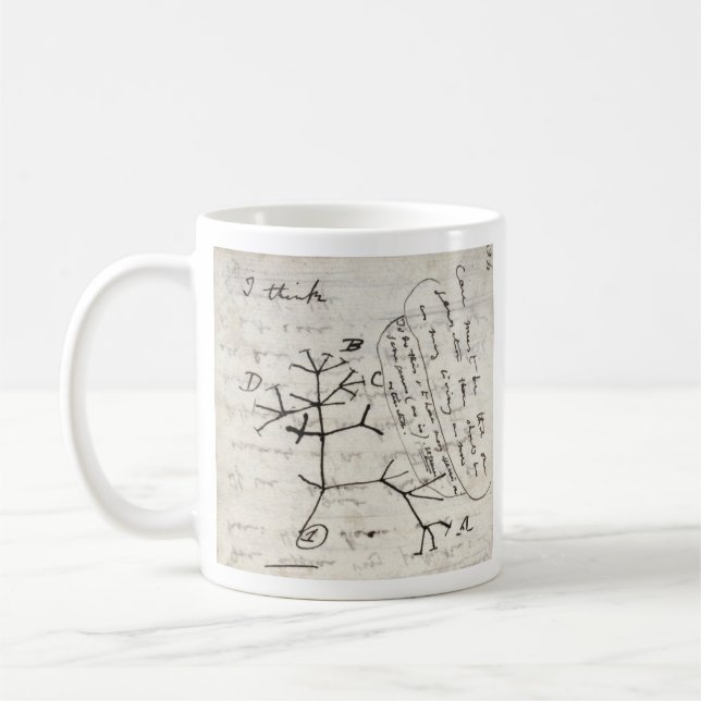 darwin's notebook coffee mug (Left)