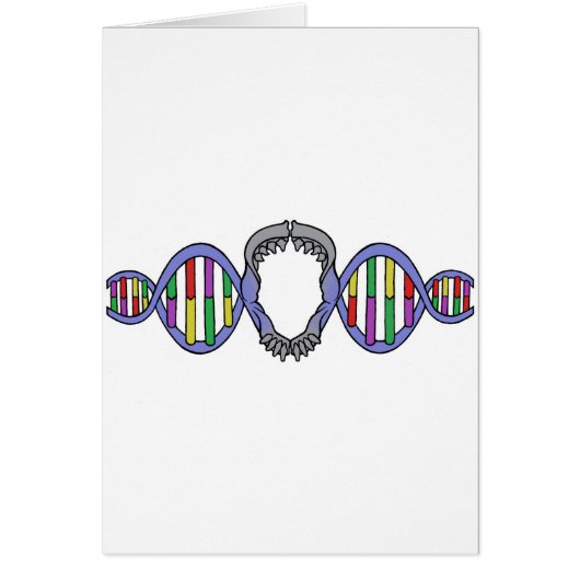 Darwin's Playground Logo (Front)