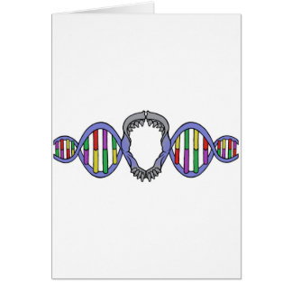 Darwin's Playground Logo Cards
