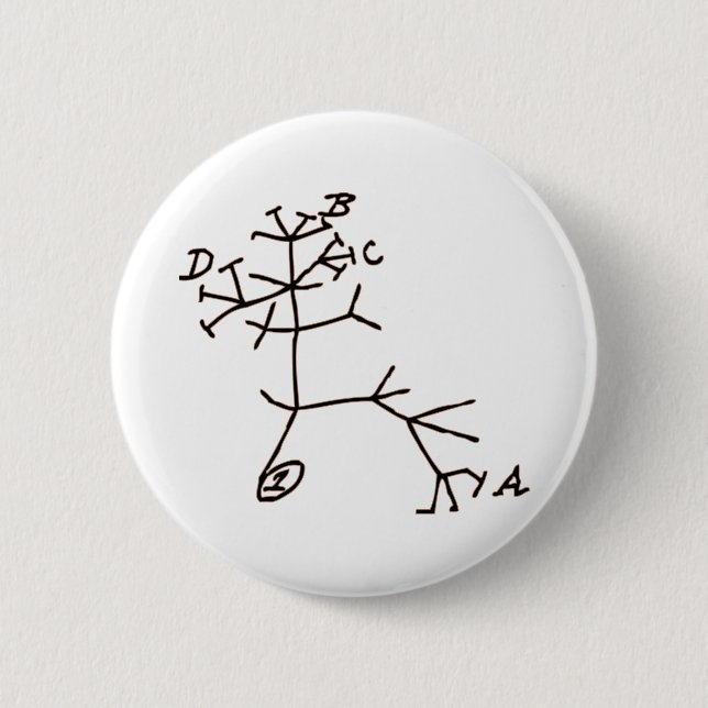 Darwin's Tree Button (Front)