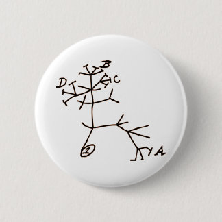 Darwin's Tree Button