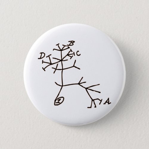 Darwins Tree Button