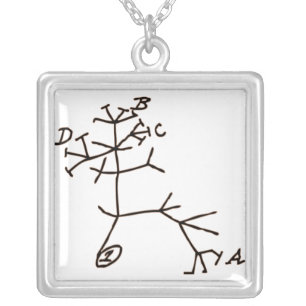 Darwin's Tree Silver Plated Necklace