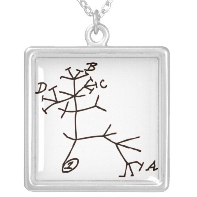 Darwin's Tree Silver Plated Necklace (Front)