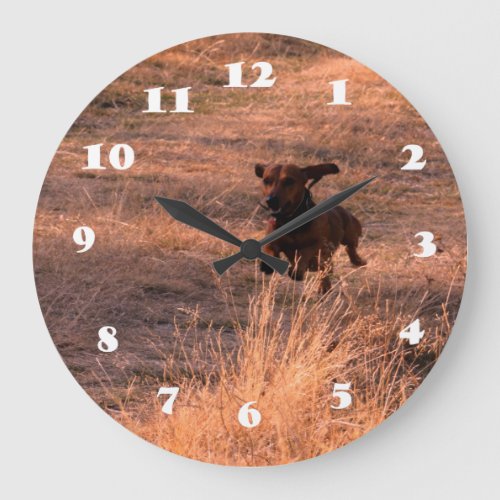 Daschund Dog Jumping in The Field Photo Large Clock