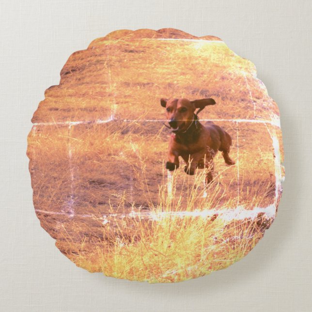 Daschund Dog Jumping in The Field Photo Round Pillow (Front)