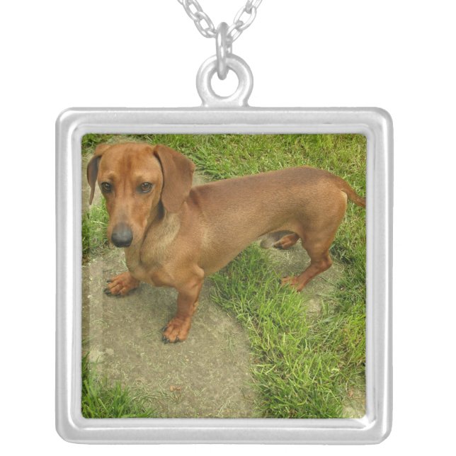 Daschund Dog Necklace (Front)