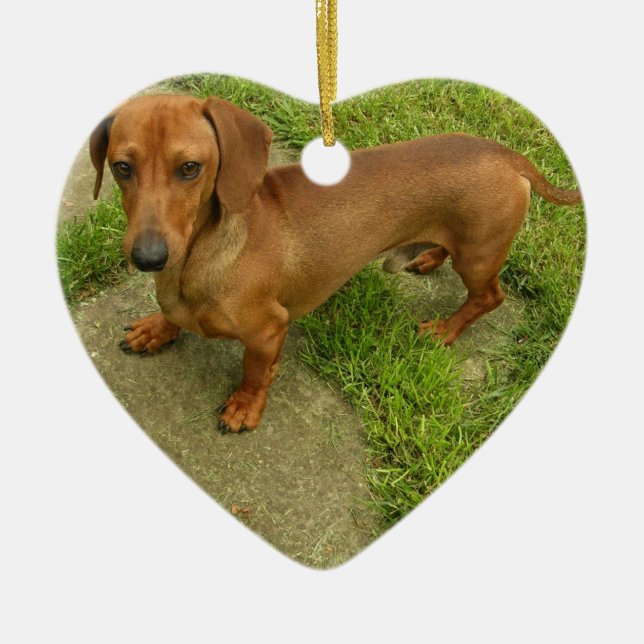 Daschund Dog Ornament (Front)