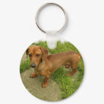 Daschund Keychain