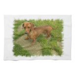 Daschund Kitchen Towel