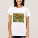 Daschund Ladies Fitted T-Shirt