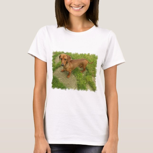 Daschund Ladies Fitted T-Shirt (Front)