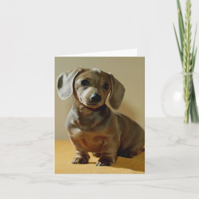 Daschund note cards (Front)