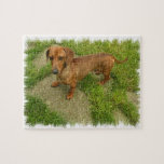 Daschund  Puzzle