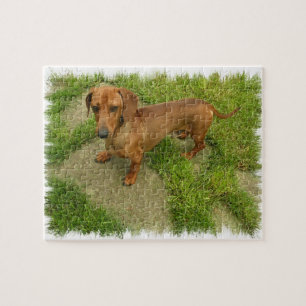 Daschund Puzzle