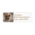 Daschund Rescue Mailing Label