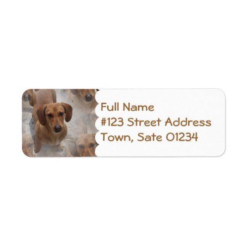 Daschund Rescue Mailing Label