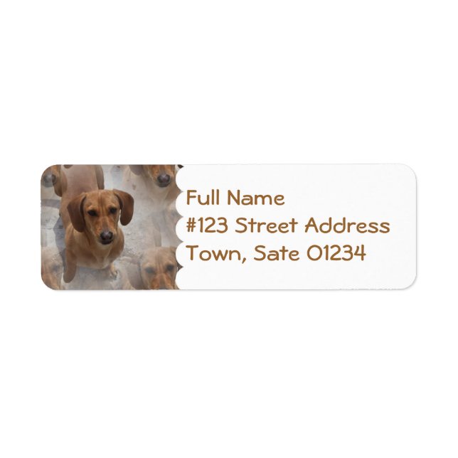 Daschund Rescue Mailing Label (Front)