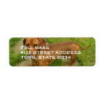Daschund Return Address Mailing Label