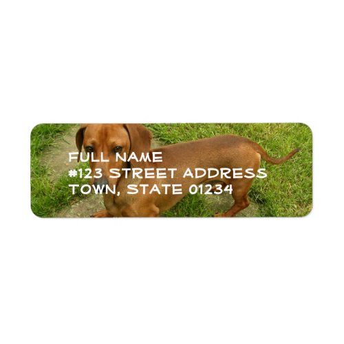 Daschund Return Address Mailing Label