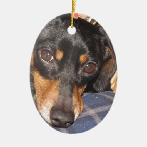 Daschund Weener Dog face Ceramic Ornament