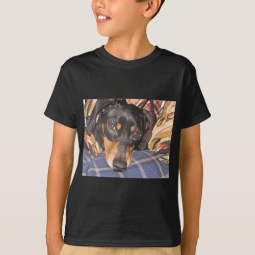 Daschund Weener Dog face T_Shirt