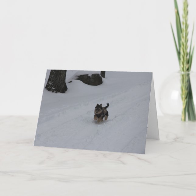 Dashing determined puppy card PERSONALIZED (Front)