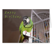 Dashing Devil (Front Horizontal)