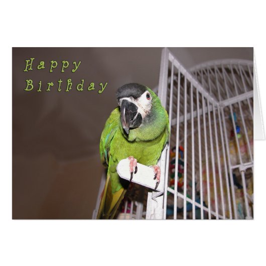 Dashing Devil (Front Horizontal)