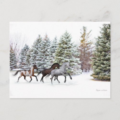 Dashing Through the Snow _ Running Horses Postcard