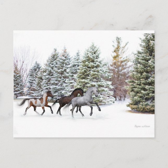 Dashing Through the Snow - Running Horses Postcard (Front)
