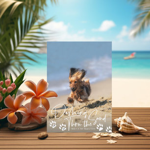Dashing Thru the Sand Beach Dog Paws Holiday Photo Card