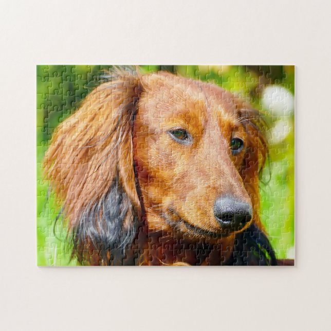Dashound Dog. Jigsaw Puzzle (Horizontal)