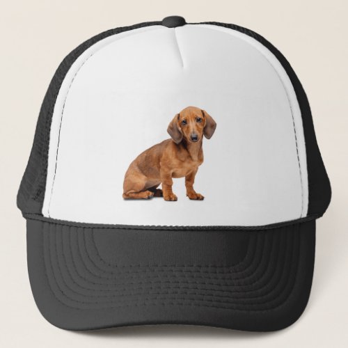Dashund Dog Pet Animal Custom Trucker Hat