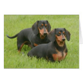 Dashunds (Front Horizontal)