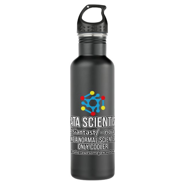 Data Scientist Definition Data Analyst Science Lov Stainless Steel Water Bottle (Front)
