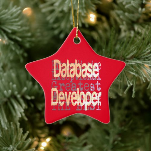 Database Developer Extraordinaire Ceramic Ornament