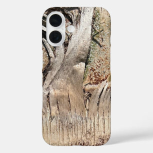 Date Palm Tree Trunk Texture Closeup Photo Image iPhone 16 Case
