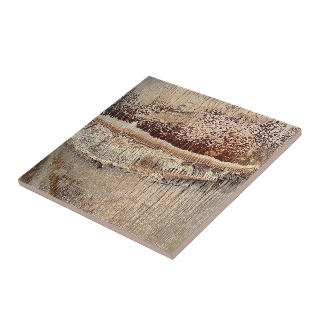 Date Palm Tree Trunk Texture Closeup Photo Image Ceramic Tile (Side)