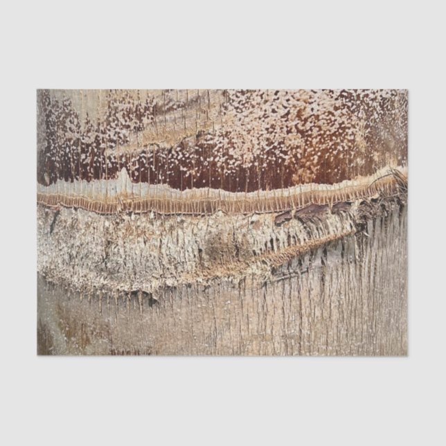 Date Palm Tree Trunk Texture Closeup Photo Image Tissue Paper (Front)