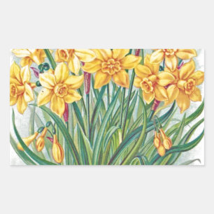 date rsvp  flowers daffodil yellow vintage rectangular sticker