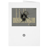 dating spiders (Back)