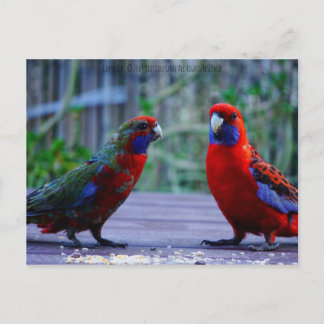 Dating Time Postcard