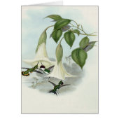 Datura and Hummingbird (Front)