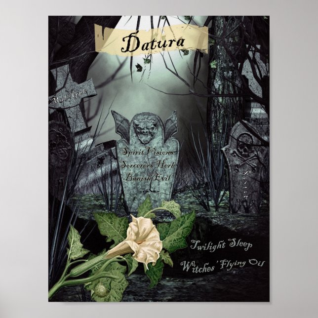 DATURA WITCH'S HERB POSTER (Front)