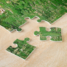 Daubigny's Garden. Vincent van Gogh. beautiful