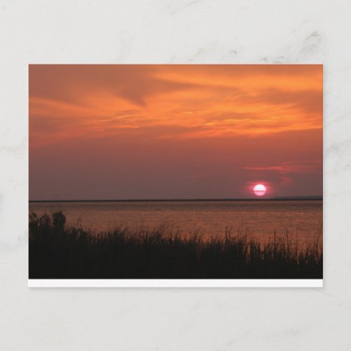 Dauphin Island AL Sunset Postcard